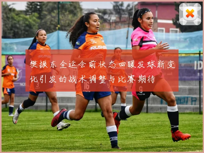 樊振东全运会前状态回暖发球新变化引发的战术调整与比赛期待