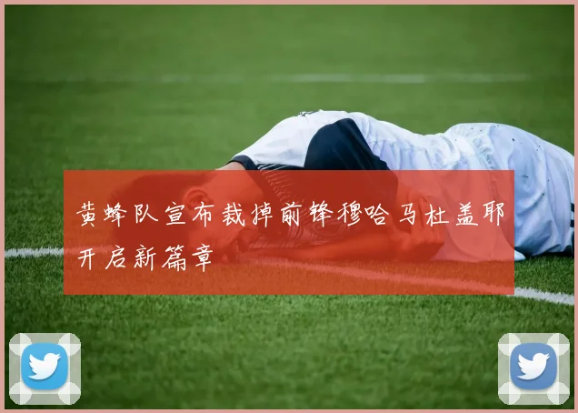 黄蜂队宣布裁掉前锋穆哈马杜盖耶开启新篇章